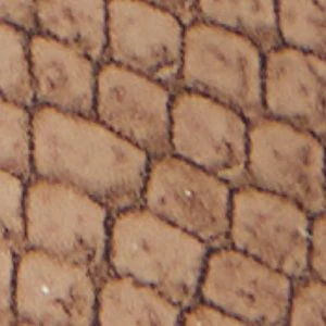 Anitabrilden - Image 8