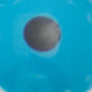 Azurall - Image 3