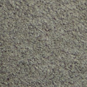 Bazzz - Image 9