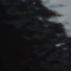 Bellamyy - Image 8
