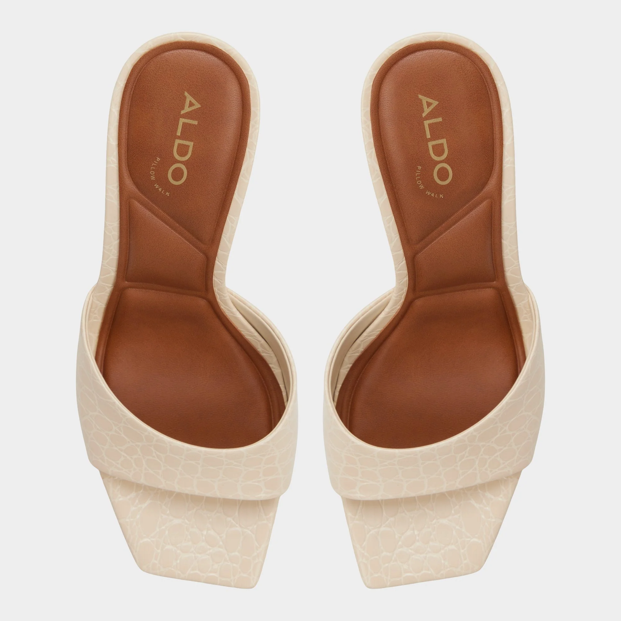 Biscuiit - Image 6