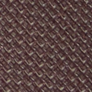 Carolline - Image 7