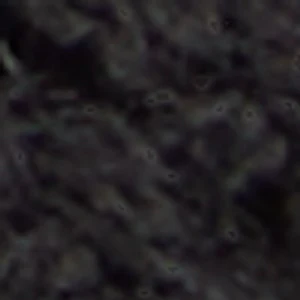Ccoastbreeze - Image 9