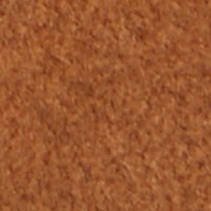 Cypress - Image 9