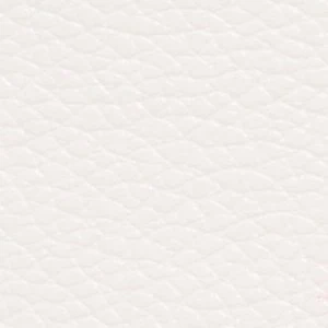 Dodia - Image 5