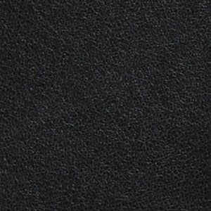 Elanoriaa - Image 5