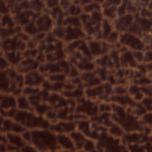 Elyne - Image 7