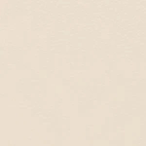 Evielily - Image 5