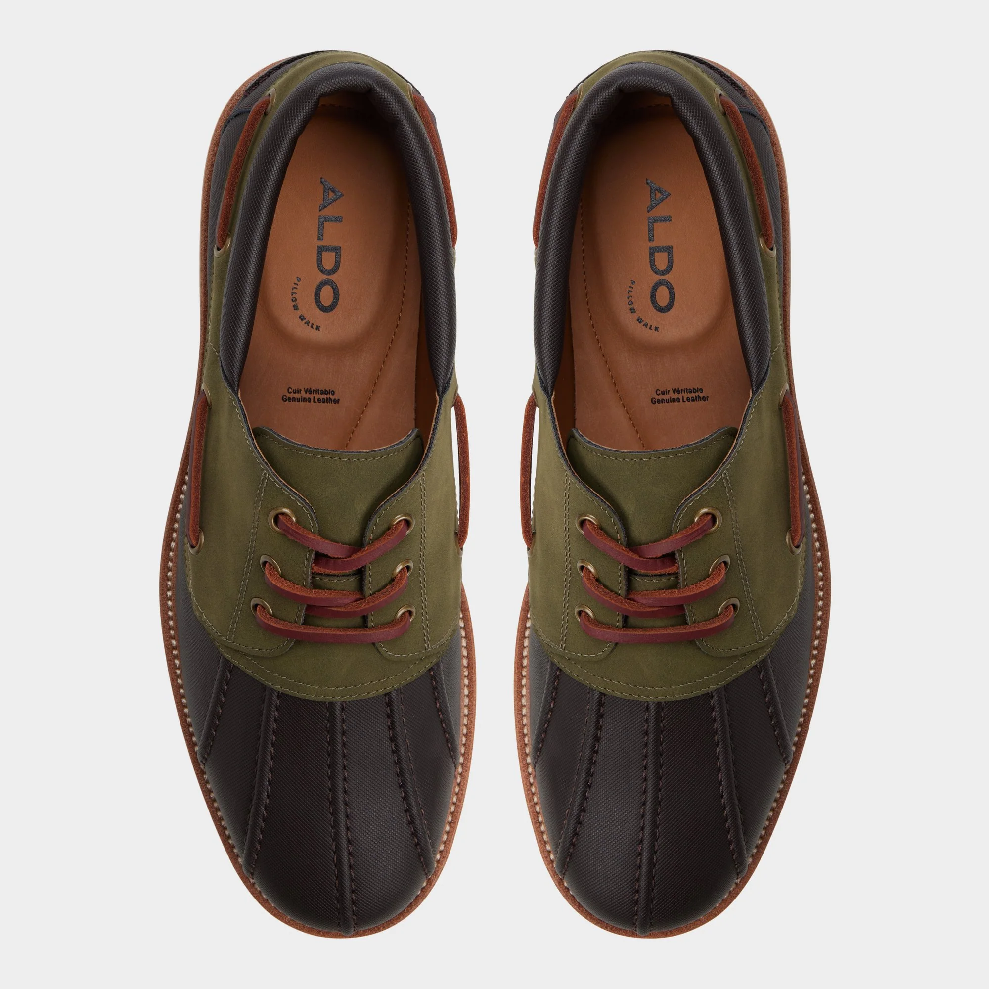 Finn - Image 6