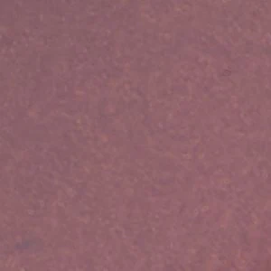 Forevermore - Image 8