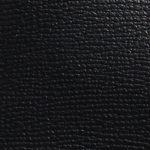 Gryphonn - Image 7