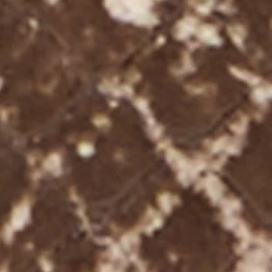 Melayneex - Image 5