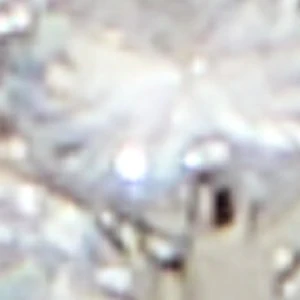 Miraollamini - Image 3