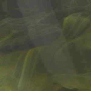 Nayelli - Image 2