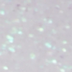 Pepela - Image 8