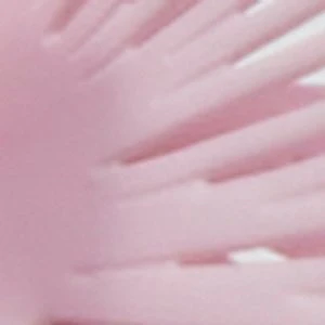 Petaldream - Image 3