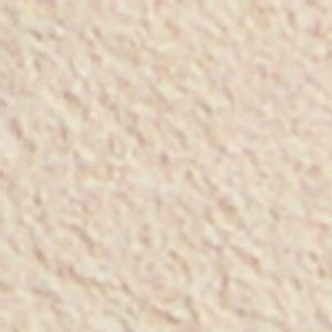 Seashella - Image 8