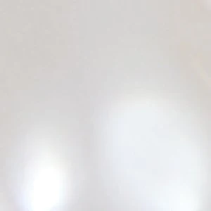 Shellbelle - Image 2