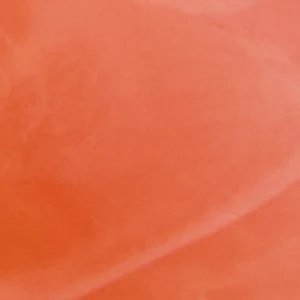 Sunni - Image 3