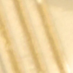 Talea - Image 2